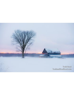 Heart of Winter