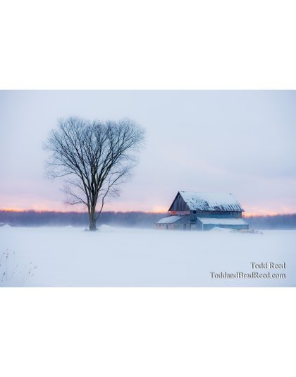 Heart of Winter