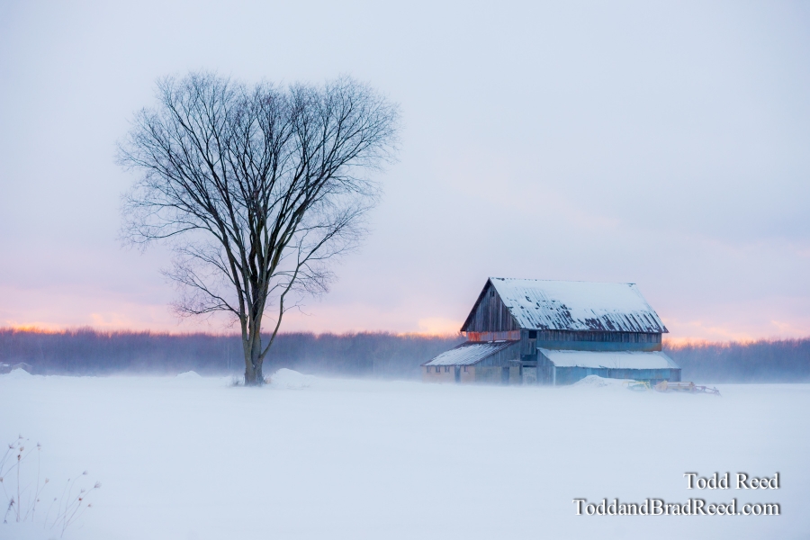 Heart of Winter