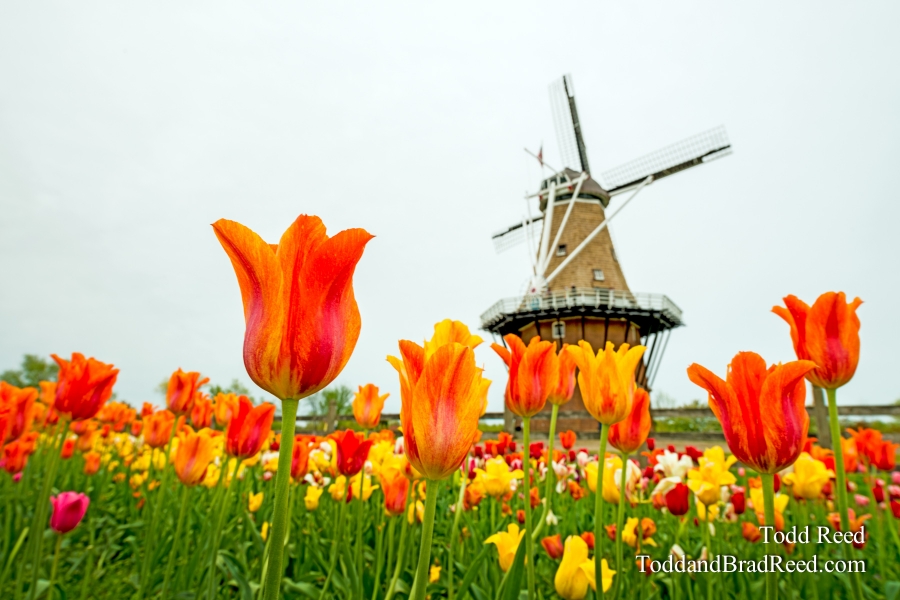 Holland Heritage
