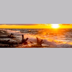 Superior Force - Panoramic