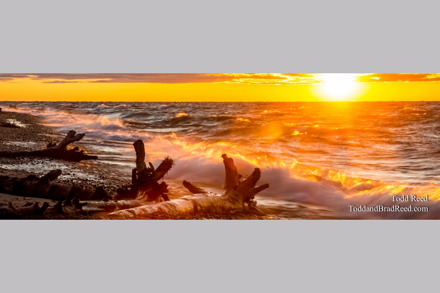 Superior Force - Panoramic
