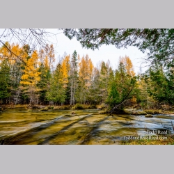 The River Jordan