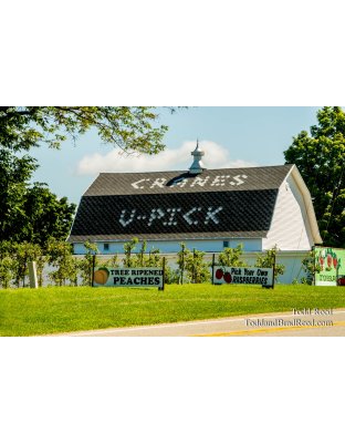 U-Pick Heaven