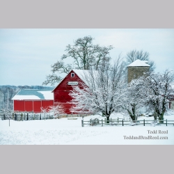 Winter at Olsen Hill