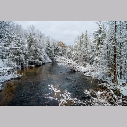 Winter on the Platte