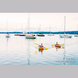 Bay Sailors