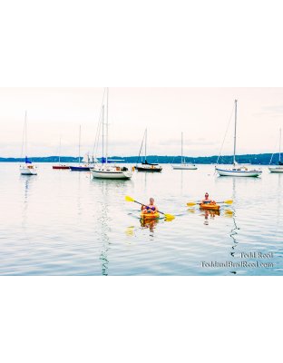 Bay Sailors