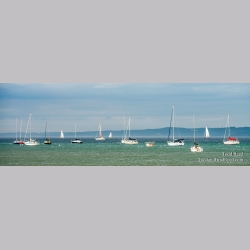Art on the Bay - Panoramic