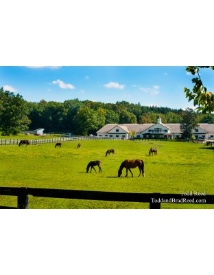 Home on the Ranch