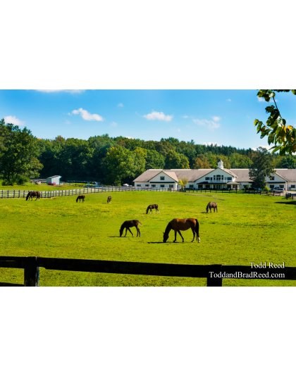 Home on the Ranch