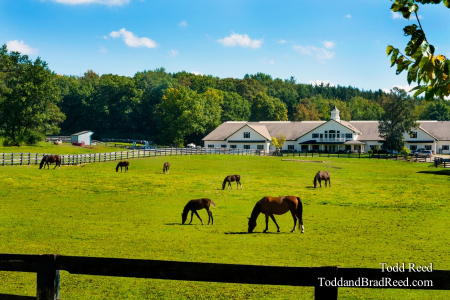 Home on the Ranch