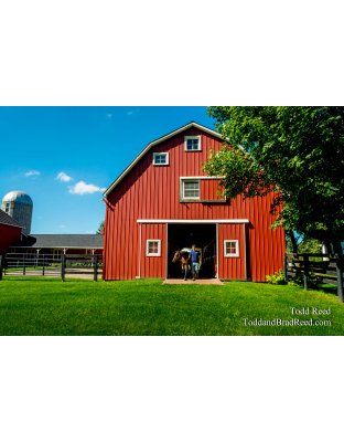Horse Haven