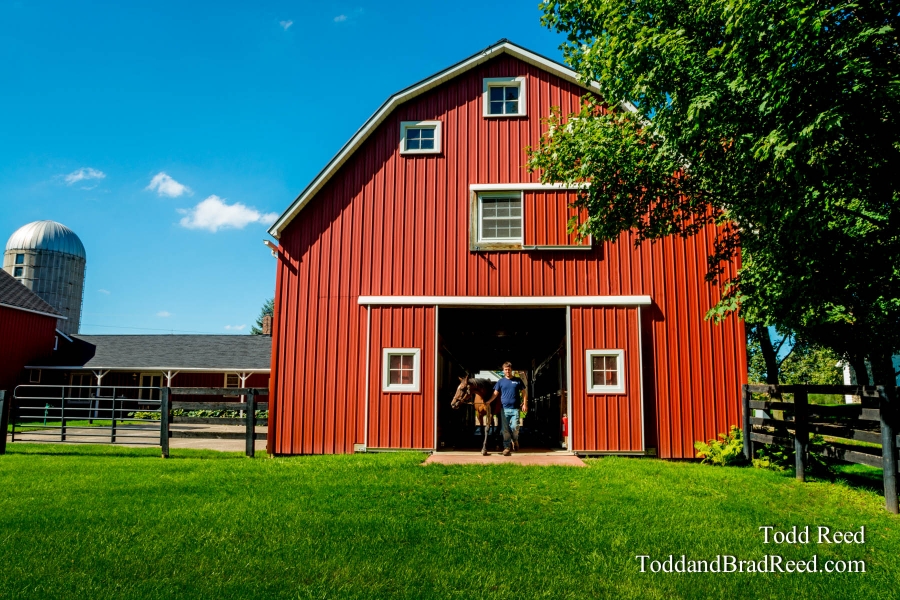 Horse Haven