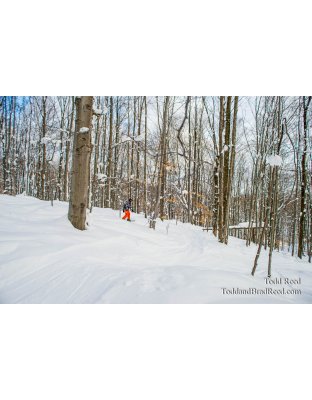 Michigan Glades