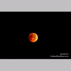 Moon Magic