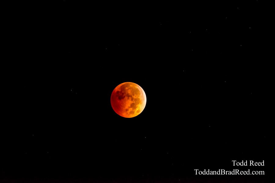Moon Magic