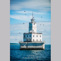Offshore Birdhouse