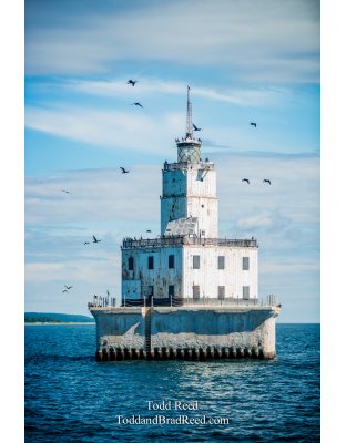 Offshore Birdhouse