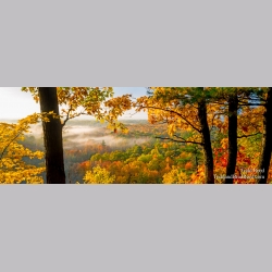 Rollaway View - Panoramic