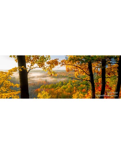 Rollaway View - Panoramic