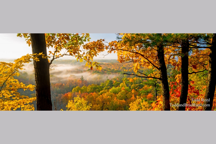 Rollaway View - Panoramic