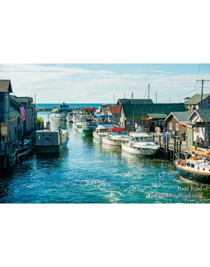 Summer in Fish Town