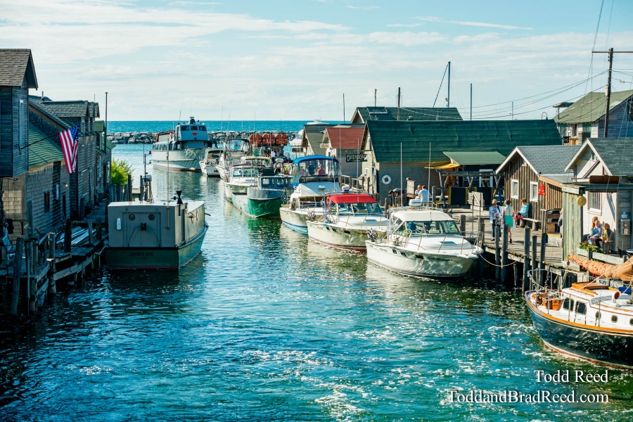 Summer in Fish Town