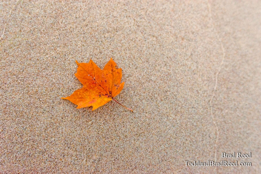Fleeting Moment