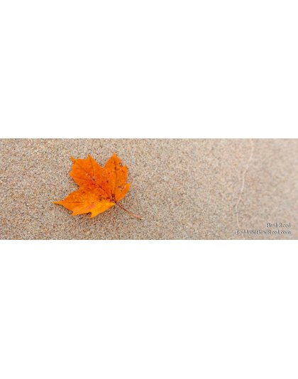 Fleeting Moment - Panoramic