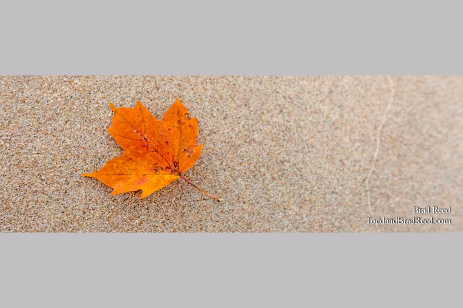 Fleeting Moment - Panoramic
