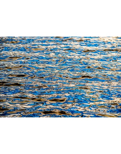 Dancing Blues