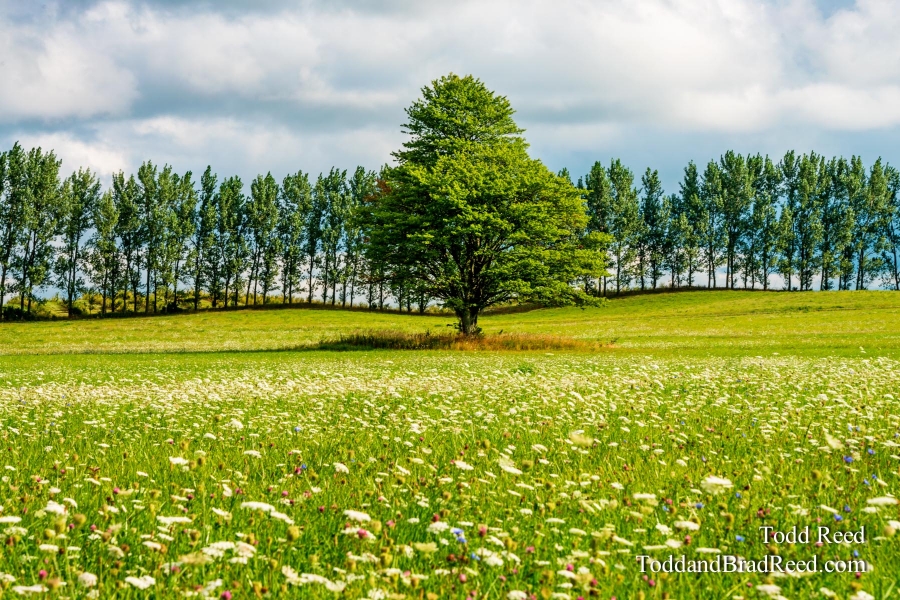 End of Summer Breeze