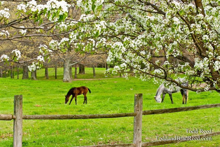 Springing to Life