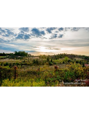 A Custer Morning