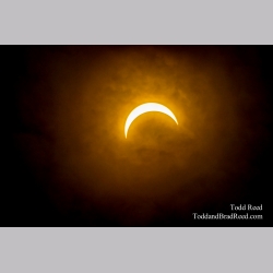 Muskegon Eclipse