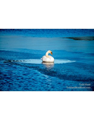 On Thin Ice