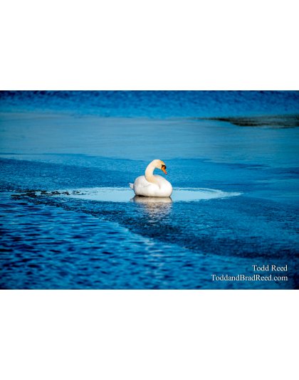 On Thin Ice