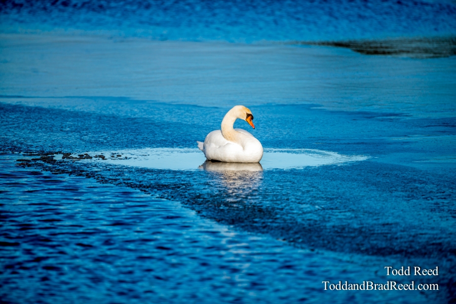 On Thin Ice
