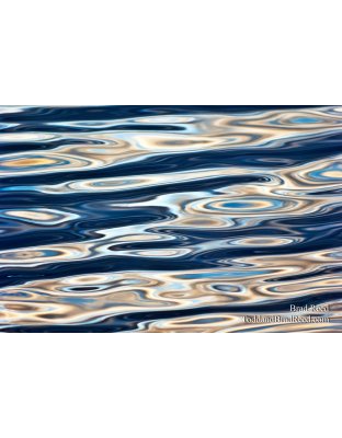 Liquidity
