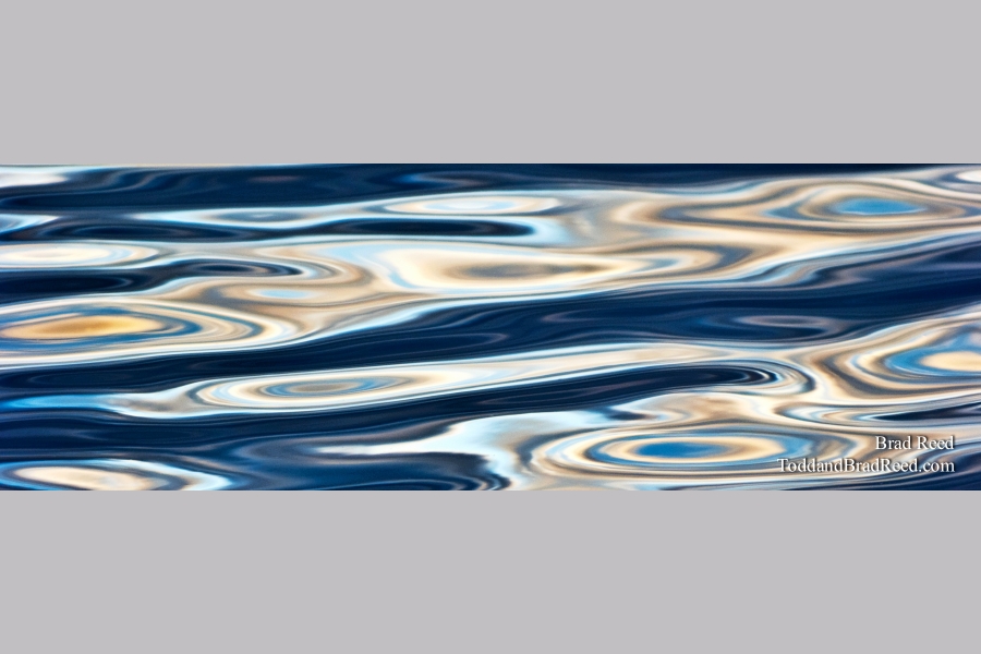 Liquidity - Panoramic