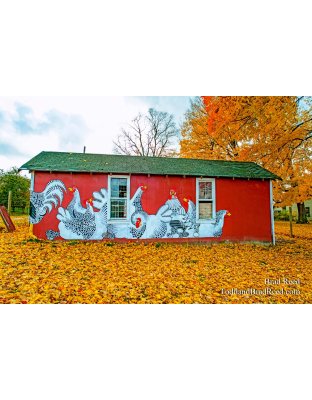 Chicken Coop
