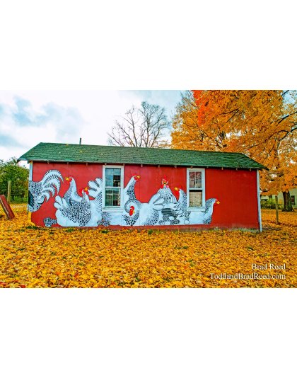 Chicken Coop