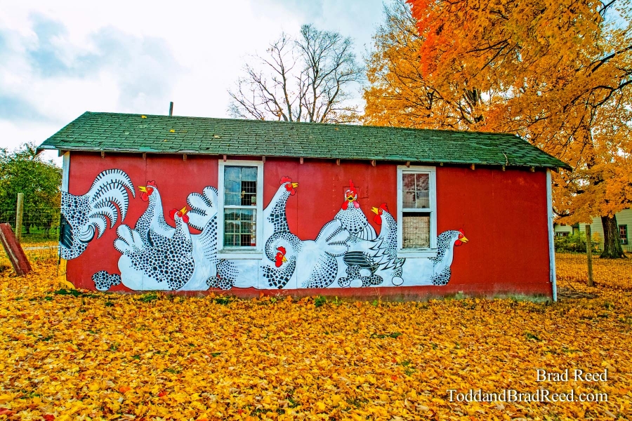 Chicken Coop