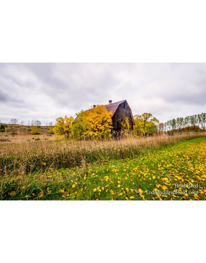 Colorful Landscape