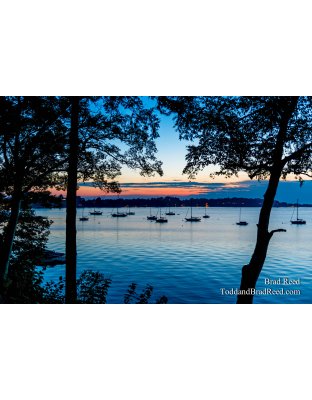 Tranquility On White Lake
