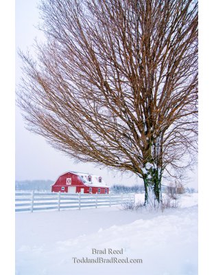 Hamlin Blizzard