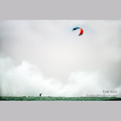 Adrenaline Junkie