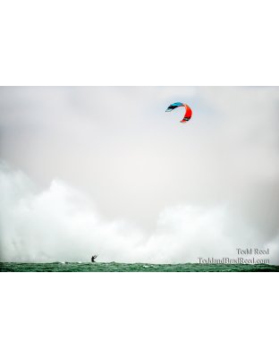 Adrenaline Junkie