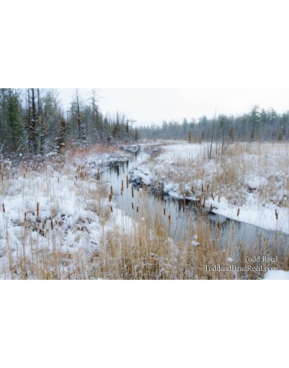 Wintery Watershed